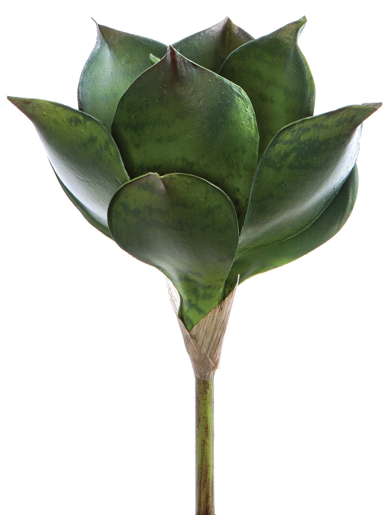 Image of the Mini Sansevieria Plant - Dark Green by MyHomeDecor.ca with green, fleshy, pointed leaves arranged in a rosette pattern. The faux succulent plant features a smooth texture with darker green spots and edges. The tapered stem is carefully wrapped at the base, making it perfect for home decor.