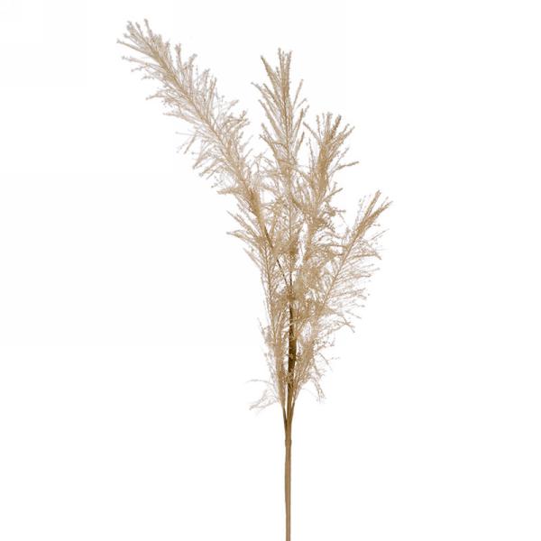 Tall Pampas Foliage Stem in beige