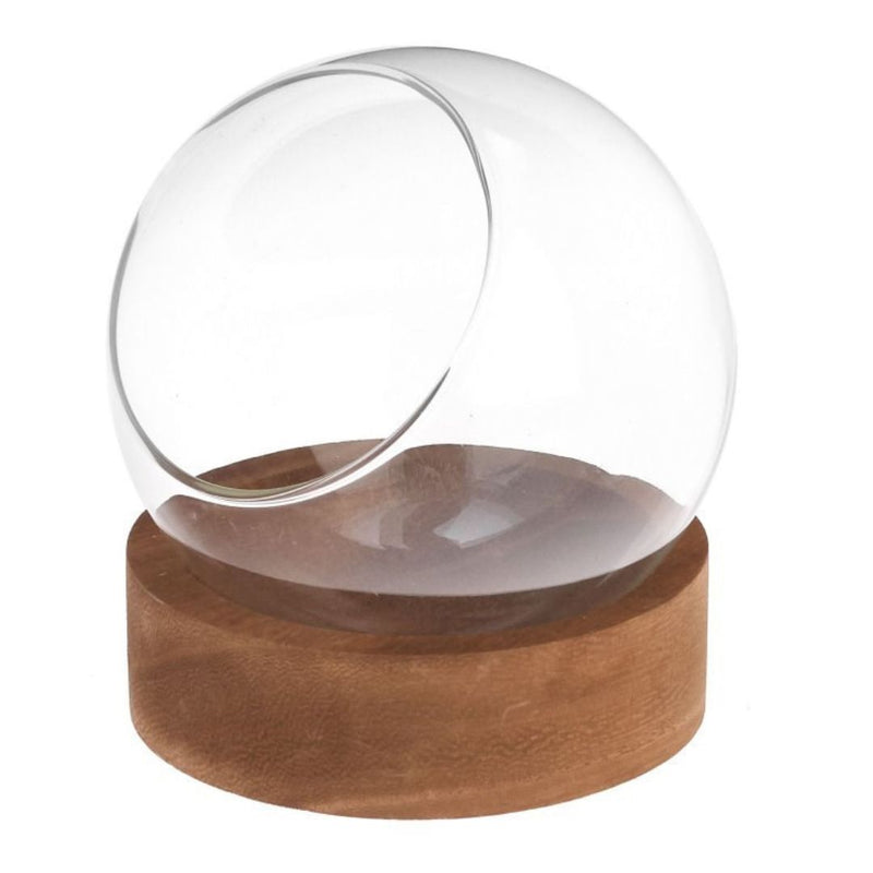 Terrarium Bowl - Glass & Wood