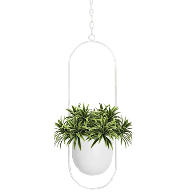 A Small Metal Hanging Planter - White from MyHomeDecor.ca suspended by a chain contains a lush green plant with long, arching leaves. The plant is housed in a simple, white pot, and the minimalist design emphasizes the vibrant foliage.