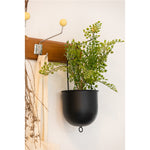 A lush green plant is thriving in a MyHomeDecor.ca Metal Hanging Planter - Black, wall-mounted and attached to a wooden rack with a hook. The planter, which fits a 4" pot and includes a PVC hard liner, is accompanied by beige fabric handles beside it. The backdrop is a plain white wall.