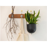 A wooden wall hook with three knobs is mounted against a white wall. One knob holds dry twigs, the center knob supports a white cloth bag, and the right knob features a Metal Hanging Planter - Black by MyHomeDecor.ca containing a vibrant Sansevieria plant with green and yellow leaves that fits 4″ pots.