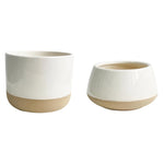 Two white ceramic planters with unglazed beige bottoms boast a minimalist design. The larger one is cylindrical, while the smaller one has a low, rounded shape. The glossy finish contrasts beautifully with the matte bottom portion, making them perfect examples of cream and beige elegance. Introducing the Phoebe Ceramic Round Vase - Cream by MyHomeDecor.ca.