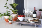 A wooden serving tray holds a bottle of wine, two empty wine glasses, a bowl of strawberries, and a cheese platter with crackers. The **Medium Bright Raised Base Pot - Orange/Pink/Sandstone** from **MyHomeDecor.ca** is on a white table surrounded by potted house plants in ceramic pots. A cushioned chair and striped pillow are in the background.