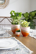 A dining table is set with white plates, glasses, and woven placemats. Three Medium Bright Raised Base Pots - Orange/Pink/Sandstone by MyHomeDecor.ca serve as a vibrant centerpiece. In the background, there's a wooden chair with a wicker backrest and large green foliage, complementing the earthy tones of the sandstone finish on the pots.