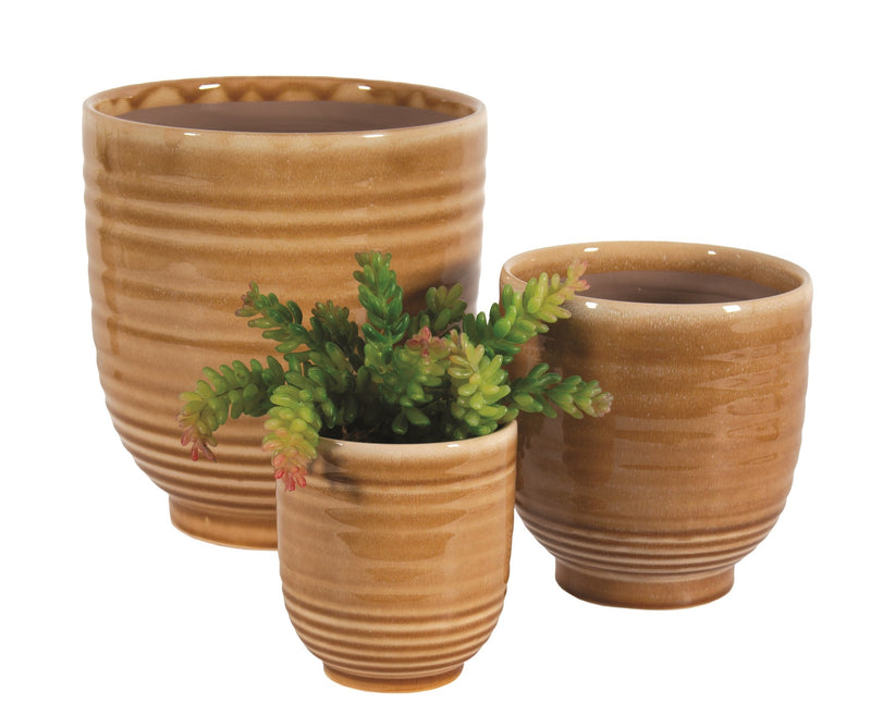 Three tan ceramic planters with a ridged texture are displayed. The largest and medium-sized planters are empty, while the smallest one contains a small green succulent. The Small Large Ribbed Planter - Wheat by MyHomeDecor.ca has a glossy finish and is arranged in descending order of size.