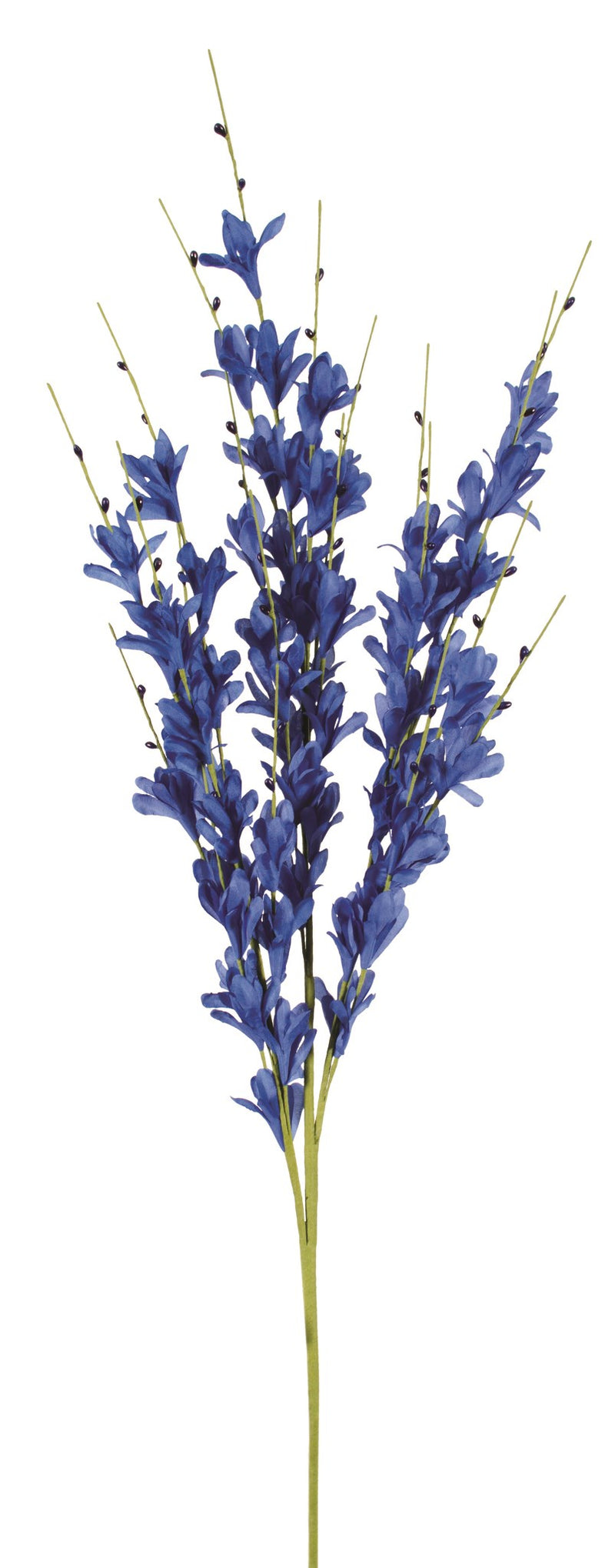 Gerbe de Fleurs de Forsythia - Bleu Indigo